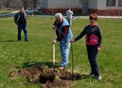Actions “Clean Environment” and “Plant a Tree”